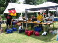 137-3763_IMG